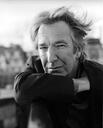 Filename=alanrickman1997photoshootdavidharrison022.jpg
Filesize=21KiB
Dimensions=440x543
Date added=Sep 27, 2025 alanrickman1997photoshootdavidharrison022.jpg