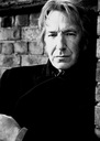 Filename=alanrickman1997photoshootdavidharrison027.jpg
Filesize=68KiB
Dimensions=530x740
Date added=Sep 27, 2025 alanrickman1997photoshootdavidharrison027.jpg