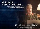alanrickmaneyeintheskyaffiche002.jpg
